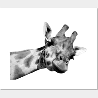 Black and White Giraffe Posters and Art